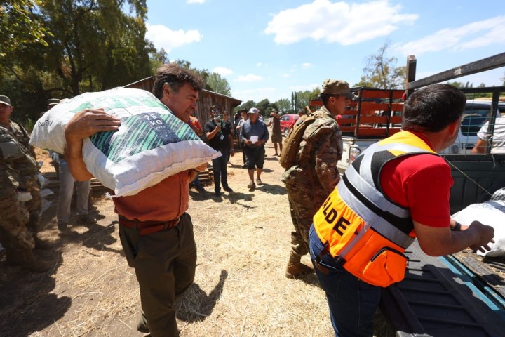 Entregan ayuda a damnificados por incendios forestales en Chile ...