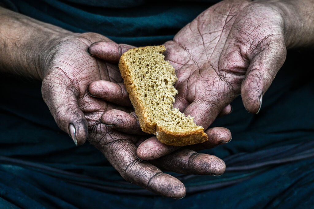 Alianza Global contra el Hambre y la Pobreza de Brasil camina hacia una ...
