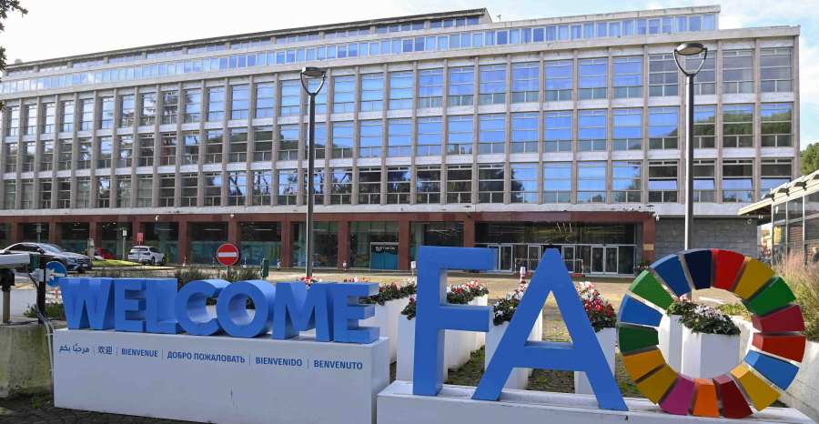 FAO inaugurará en Roma un nuevo Museo y Red de Alimentación y ...